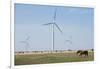 Wind Farm, Vega, Texas-Paul Souders-Framed Photographic Print