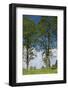 Wind Farm, West Virginia-Paul Souders-Framed Photographic Print