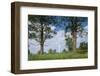 Wind Farm, West Virginia-Paul Souders-Framed Photographic Print