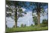 Wind Farm, West Virginia-Paul Souders-Mounted Photographic Print