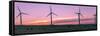 Wind farm with cows at sunrise, Cowley, Alberta, Canada-null-Framed Stretched Canvas