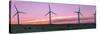 Wind farm with cows at sunrise, Cowley, Alberta, Canada-null-Stretched Canvas