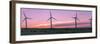 Wind farm with cows at sunrise, Cowley, Alberta, Canada-null-Framed Photographic Print