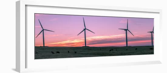 Wind farm with cows at sunrise, Cowley, Alberta, Canada-null-Framed Photographic Print