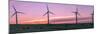 Wind farm with cows at sunrise, Cowley, Alberta, Canada-null-Mounted Photographic Print