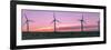 Wind farm with cows at sunrise, Cowley, Alberta, Canada-null-Framed Photographic Print