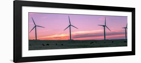 Wind farm with cows at sunrise, Cowley, Alberta, Canada-null-Framed Photographic Print