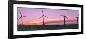 Wind farm with cows at sunrise, Cowley, Alberta, Canada-null-Framed Photographic Print