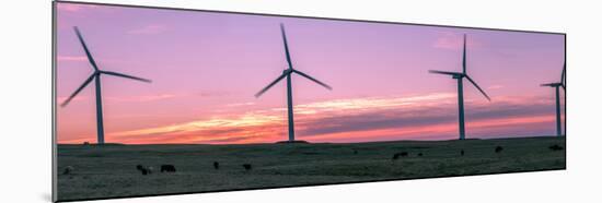 Wind farm with cows at sunrise, Cowley, Alberta, Canada-null-Mounted Photographic Print