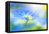 Wind flower-Jacky Parker-Framed Stretched Canvas