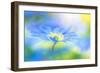 Wind flower-Jacky Parker-Framed Giclee Print