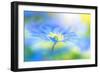 Wind flower-Jacky Parker-Framed Giclee Print