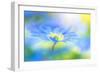 Wind flower-Jacky Parker-Framed Giclee Print