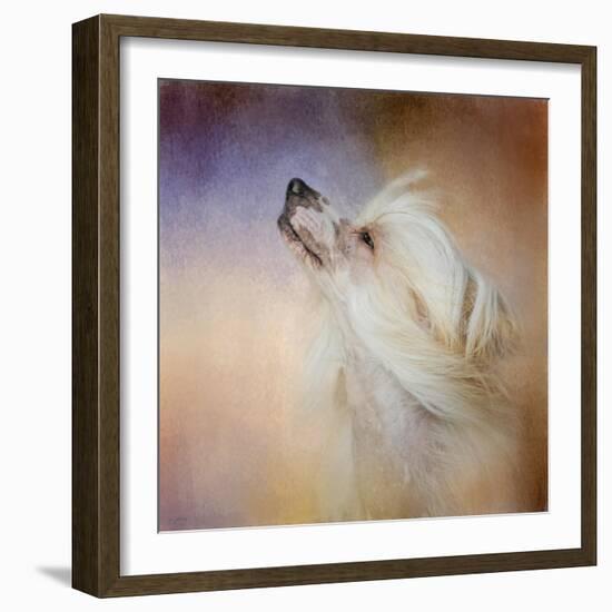 Wind in Her Hair Chinese Crested-Jai Johnson-Framed Giclee Print