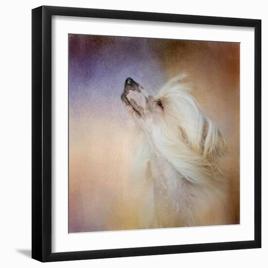 Wind in Her Hair Chinese Crested-Jai Johnson-Framed Giclee Print