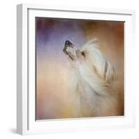 Wind in Her Hair Chinese Crested-Jai Johnson-Framed Giclee Print