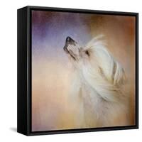 Wind in Her Hair Chinese Crested-Jai Johnson-Framed Stretched Canvas