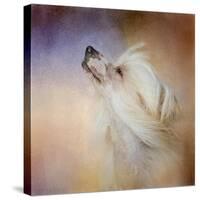 Wind in Her Hair Chinese Crested-Jai Johnson-Stretched Canvas