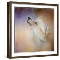 Wind in Her Hair Chinese Crested-Jai Johnson-Framed Giclee Print