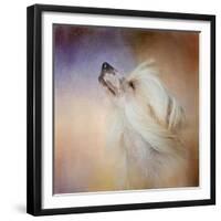 Wind in Her Hair Chinese Crested-Jai Johnson-Framed Giclee Print