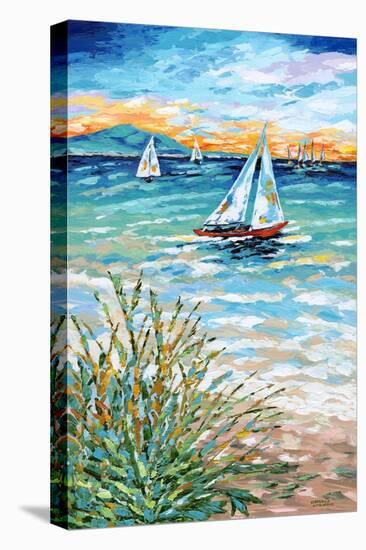 Wind in My Sail I-Carolee Vitaletti-Stretched Canvas