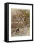 Wind in Willows, Grahame-Arthur Rackham-Framed Stretched Canvas