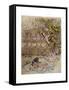 Wind in Willows, Grahame-Arthur Rackham-Framed Stretched Canvas