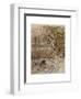 Wind in Willows, Grahame-Arthur Rackham-Framed Premium Giclee Print