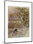 Wind in Willows, Grahame-Arthur Rackham-Mounted Premium Giclee Print