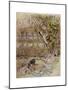Wind in Willows, Grahame-Arthur Rackham-Mounted Giclee Print