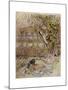 Wind in Willows, Grahame-Arthur Rackham-Mounted Giclee Print