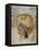 Wind in Willows, Grahame-Arthur Rackham-Framed Stretched Canvas