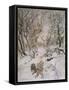 Wind in Willows, Rat Snow-Arthur Rackham-Framed Stretched Canvas