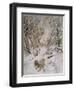 Wind in Willows, Rat Snow-Arthur Rackham-Framed Photographic Print