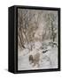 Wind in Willows, Rat Snow-Arthur Rackham-Framed Stretched Canvas