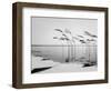 Wind-Installation I, 2015-Jaschi Klein-Framed Photographic Print