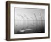 Wind-Installation I, 2015-Jaschi Klein-Framed Photographic Print