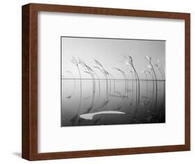 Wind-Installation I, 2015-Jaschi Klein-Framed Photographic Print