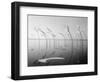 Wind-Installation I, 2015-Jaschi Klein-Framed Photographic Print