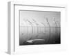 Wind-Installation I, 2015-Jaschi Klein-Framed Photographic Print