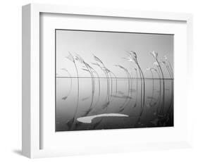 Wind-Installation I, 2015-Jaschi Klein-Framed Photographic Print