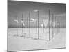 Wind-Installation II, 2015-Jaschi Klein-Mounted Photographic Print