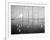 Wind-Installation II, 2015-Jaschi Klein-Framed Photographic Print