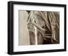 Wind Knots-Lisa Dearing-Framed Photographic Print