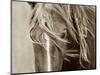 Wind Knots-Lisa Dearing-Mounted Photographic Print
