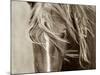 Wind Knots-Lisa Dearing-Mounted Photographic Print