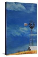 Wind Mill Ranch-Heidi Martin-Stretched Canvas