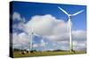 Wind Power Plant Wind Turbines of Windy Hill-null-Stretched Canvas