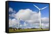 Wind Power Plant Wind Turbines of Windy Hill-null-Framed Stretched Canvas