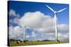 Wind Power Plant Wind Turbines of Windy Hill-null-Stretched Canvas